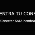 Conector SATA hembra